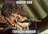 панки хой горшок живой
