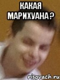 Какая марихуана ? 