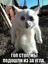  гоп стоп, мы подошли из за угла..