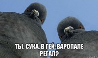  Ты, сука, в гей-варопале регал?