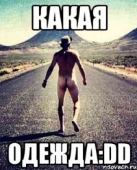какая одежда:DD