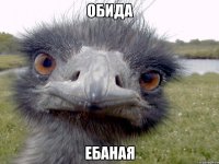 ОБИДА ЕБАНАЯ