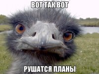 вот так вот рушатся планы