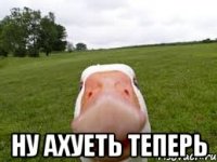  ну ахуеть теперь