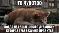 То чувство Когда не общаешься с девушкой, которая тебе безумно нравится