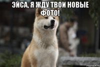 Эйса, я жду твои новые фото! 