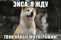 Эйса, я жду твои новые фотографии!