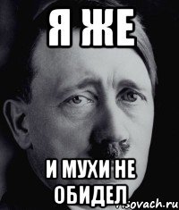 Я же и мухи не обидел