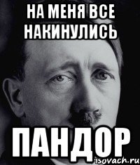 на меня все накинулись пандор