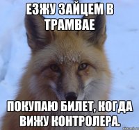 Езжу зайцем в трамвае Покупаю билет, когда вижу контролера.