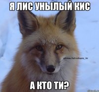Я лис унылый кис а кто ти?