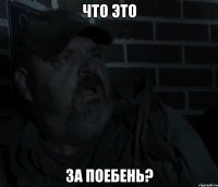 что это за поебень?
