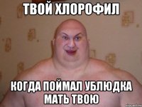 Твой хлорофил когда поймал ублюдка мать твою