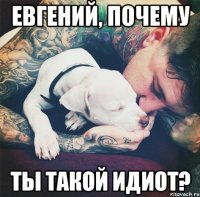 Евгений, почему ты такой идиот?