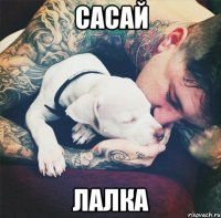 Сасай лалка