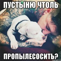 Пустыню чтоль пропылесосить?