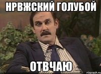 Нрвжский голубой отвчаю