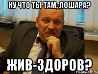Ну что ты там, лошара? Жив-здоров?