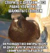 Спорить с дураком - все равно что играть в шахматы с голубем он раскидает все фигуры, насрёт на доску и улетит рассказывать своим, как он тебя уделал.