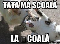 Tata mă scoală la școală