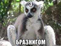 З бразнигом