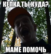 Кепка,ты куда? Маме помочь