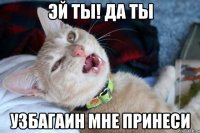 эй ты! да ты узбагаин мне принеси