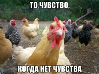 ТО ЧУВСТВО, КОГДА НЕТ ЧУВСТВА