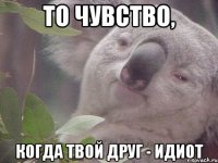 То чувство, Когда твой друг - идиот