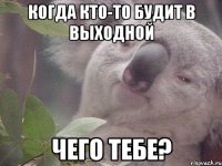 Когда кто-то будит в выходной Чего тебе?