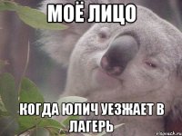 Моё лицо когда Юлич уезжает в лагерь