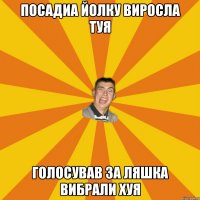 ПОСАДИА ЙОЛКУ ВИРОСЛА ТУЯ ГОЛОСУВАВ ЗА ЛЯШКА ВИБРАЛИ ХУЯ