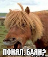  Понял, баяН?