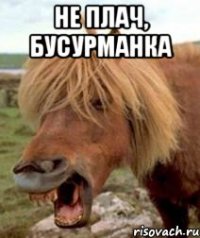 Не плач, бусурманка 