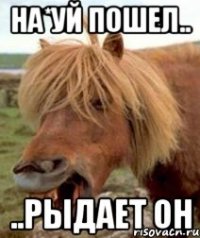 На*уй пошел.. ..рыдает он