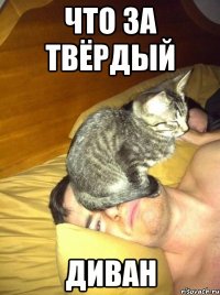 что за твёрдый диван