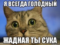 я всегда голодный жадная ты сука