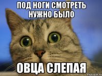 под ноги смотреть нужно было овца слепая