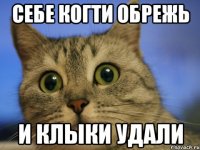 себе когти обрежь и клыки удали