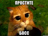 простите босс