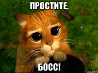 простите, босс!