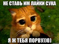 Не ставь им лайки сука я ж тебя порву))0)