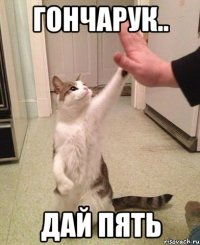 гончарук.. ДАЙ ПЯТЬ