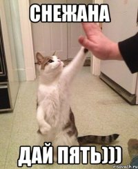 снежана дай пять)))