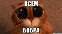 всем бобра