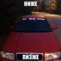 Ниже Пизже