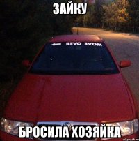 Зайку Бросила хозяйка