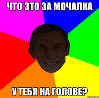 Что это за мочалка у тебя на голове?