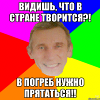 Видишь, что в стране творится?! В погреб нужно прятаться!!