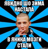ЯВидно шо зима настала В Яника мозги стали